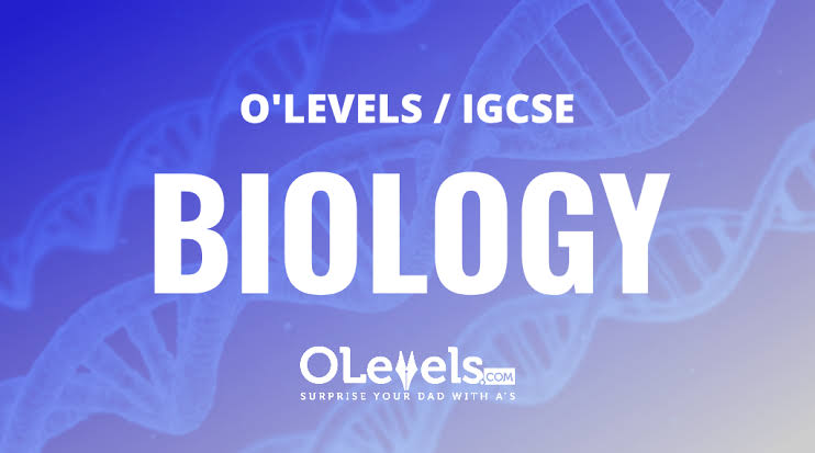 IGCSE Biology